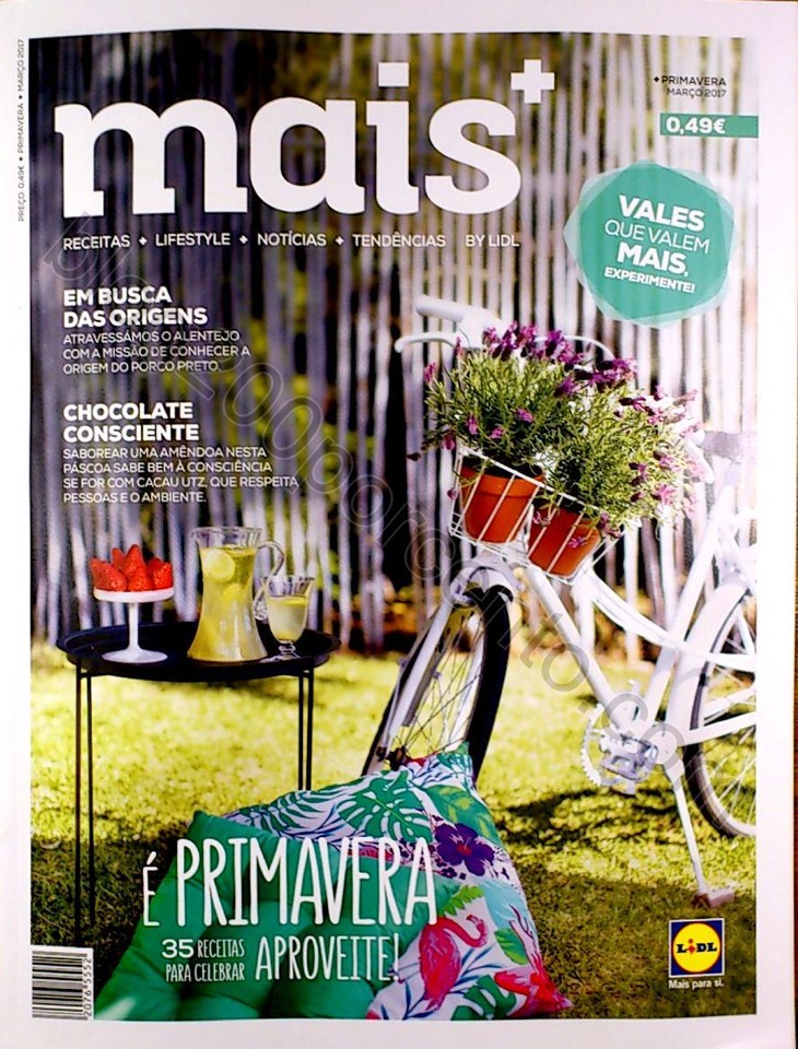 mais primavera_1.jpg