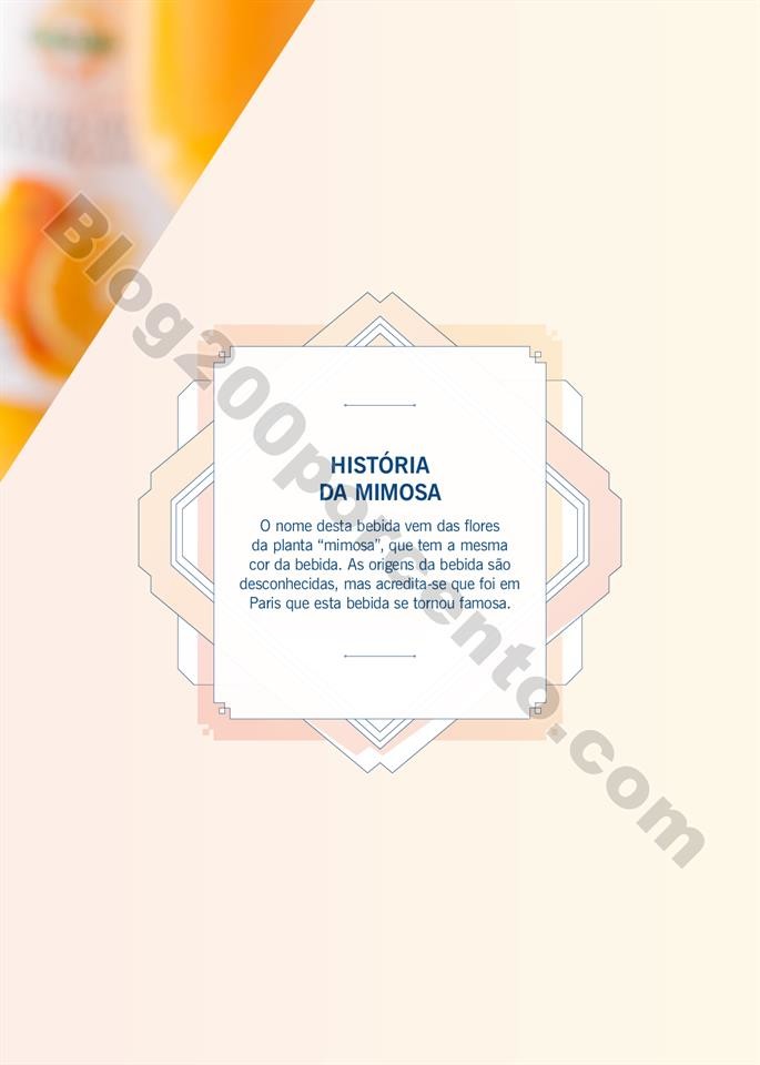 especial cocktails verão lidl_044.jpg