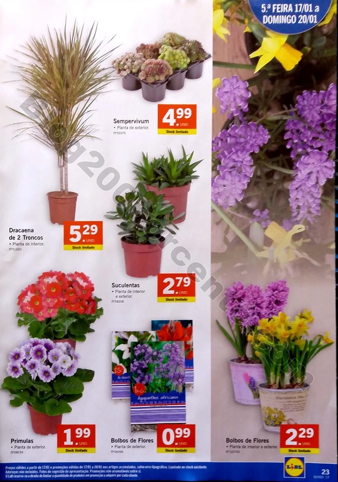 antevisao lidl 14 a 20 janeiro_23.jpg