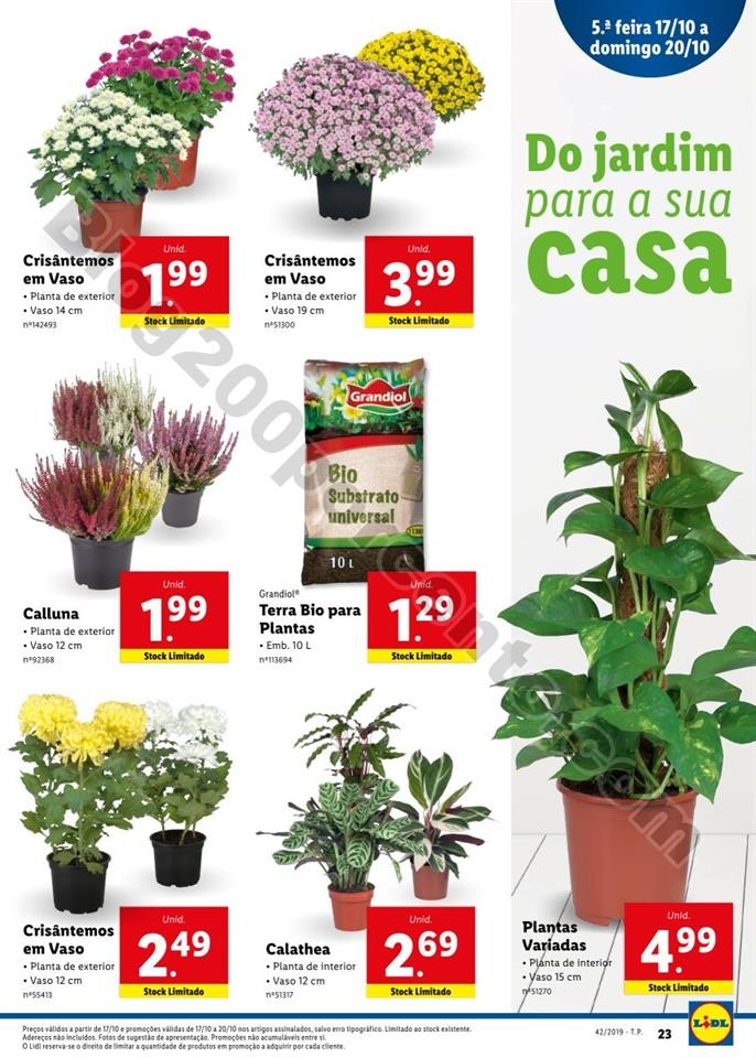 Antevisão Folheto LIDL Promoções de 14 a 20 out