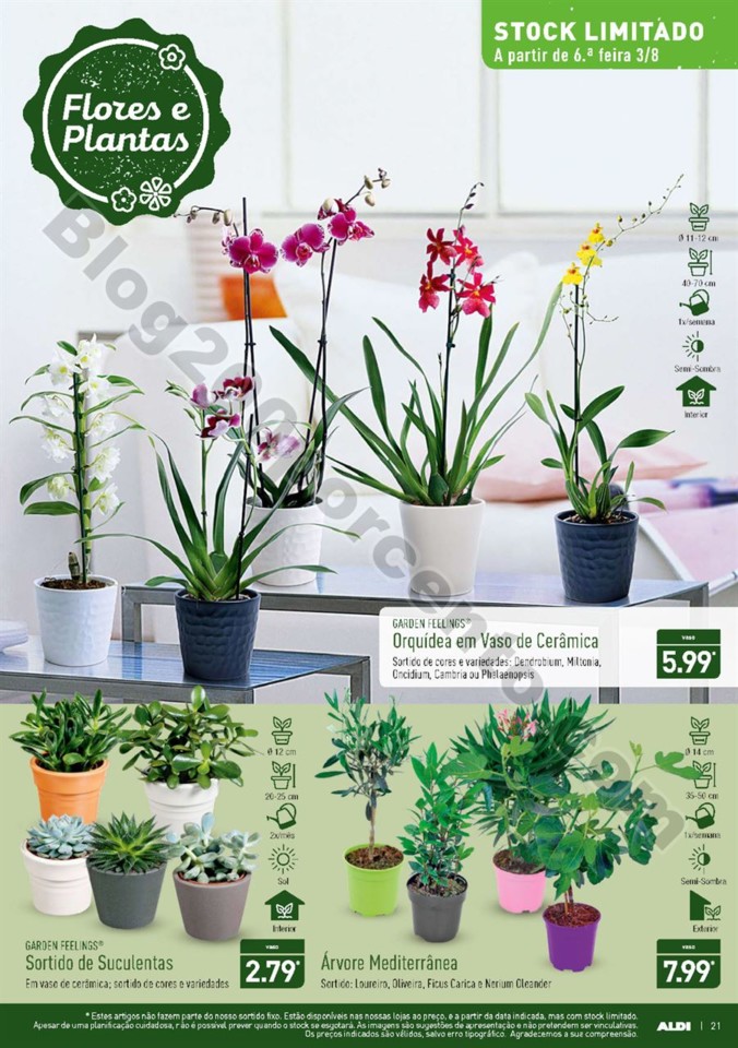 Antevisão Folheto ALDI Promoções a partir de 1 