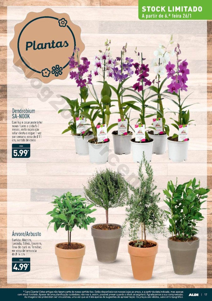 Antevisão Folheto ALDI promoções a partir de24 