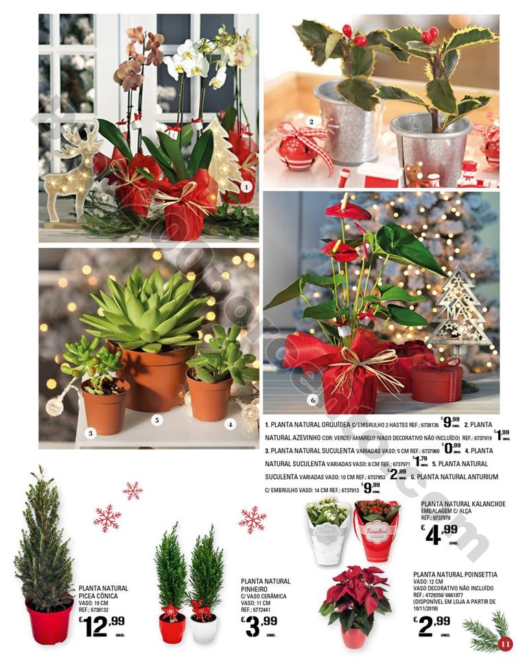 folheto natal 8 novembro a 24 dezembro p11.jpg