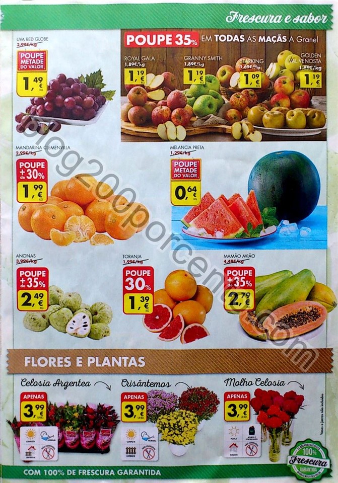 pingo doce 27 outubro_31.jpg