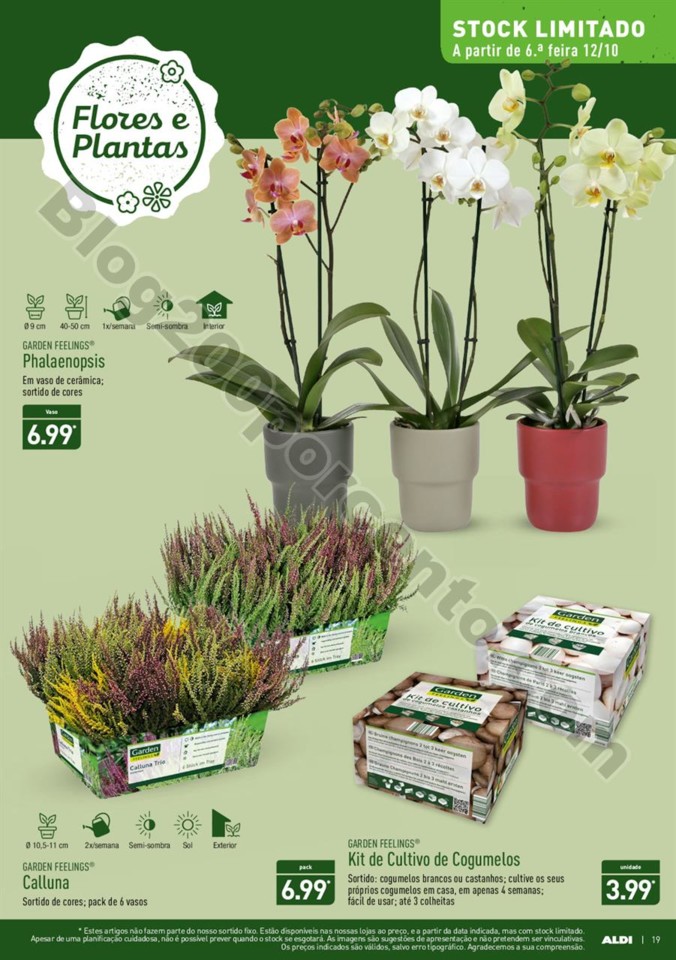 Antevisão Folheto ALDI Promoções a partir de 10