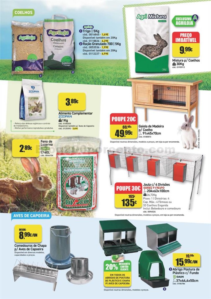 erão-imagens p (5).jpg