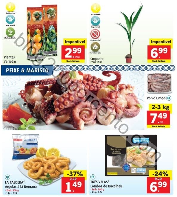 Promoções-Descontos-22290.jpg