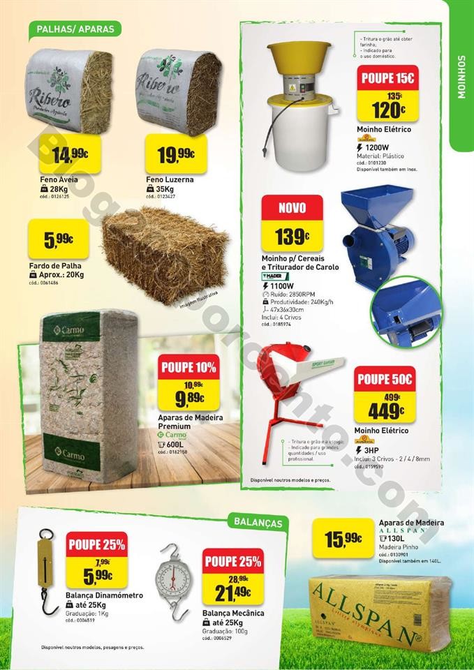 agriloja 17 outubro a 17 dezembro_012.jpg