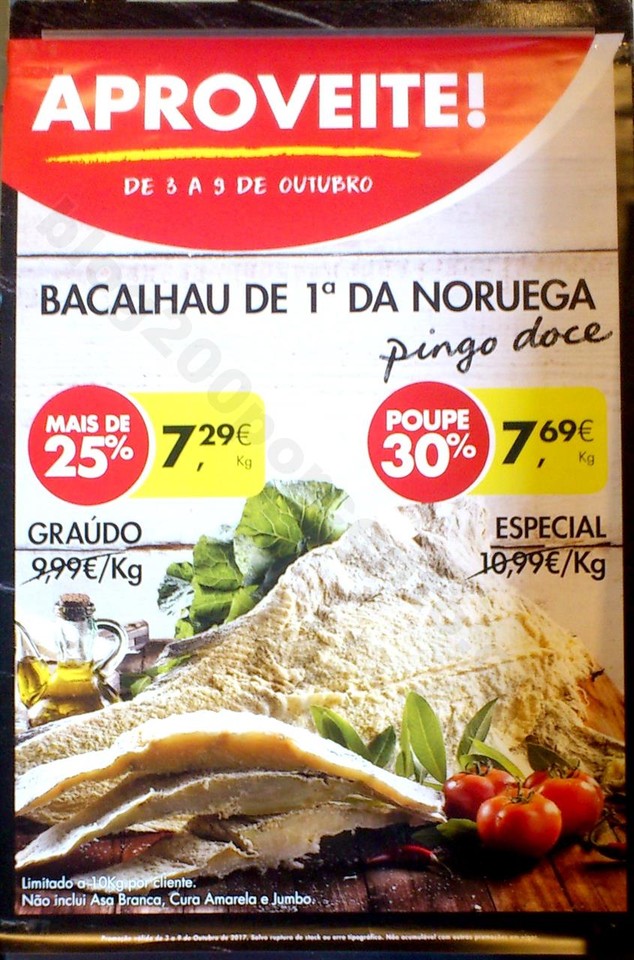 pd aviSta sabe bem_1.jpg