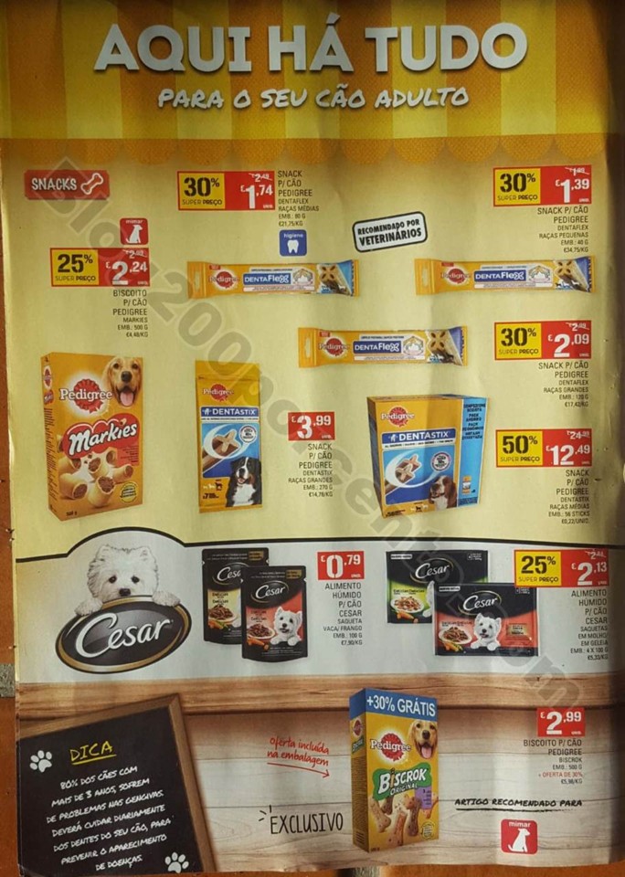 pets 16 janeiro (5).jpg