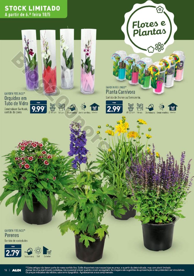 Antevisão Folheto ALDI Promoções a partir de 16