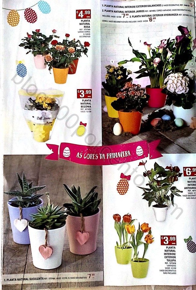 Novo Documento 2017-03-20 (1)_21.jpg