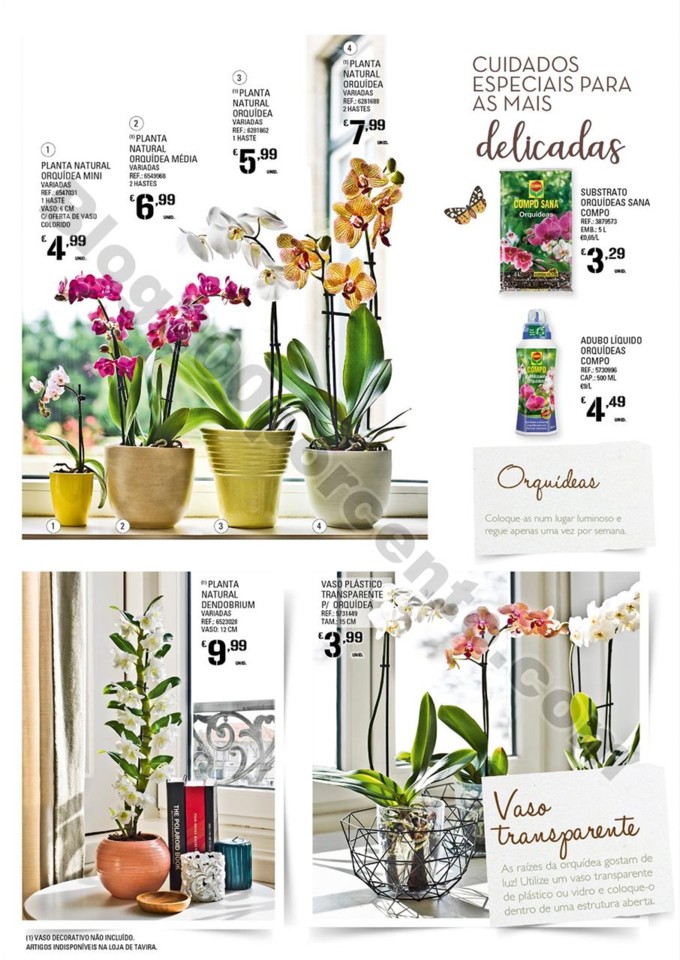 Antevisão Folheto CONTINENTE Jardim promoções d