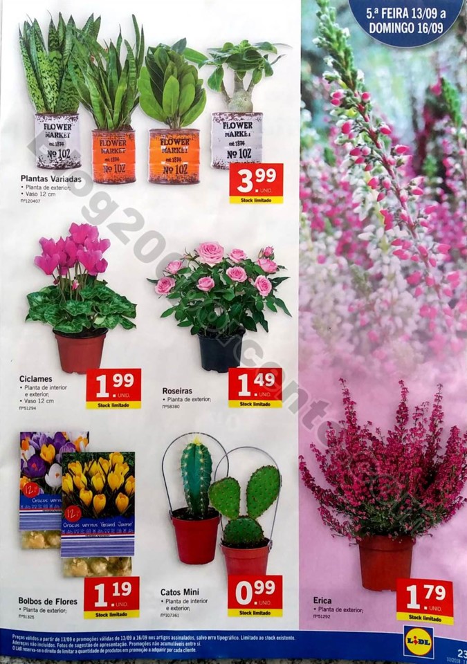 antevisao folheto lidl 10 a 16 setembro_23.jpg