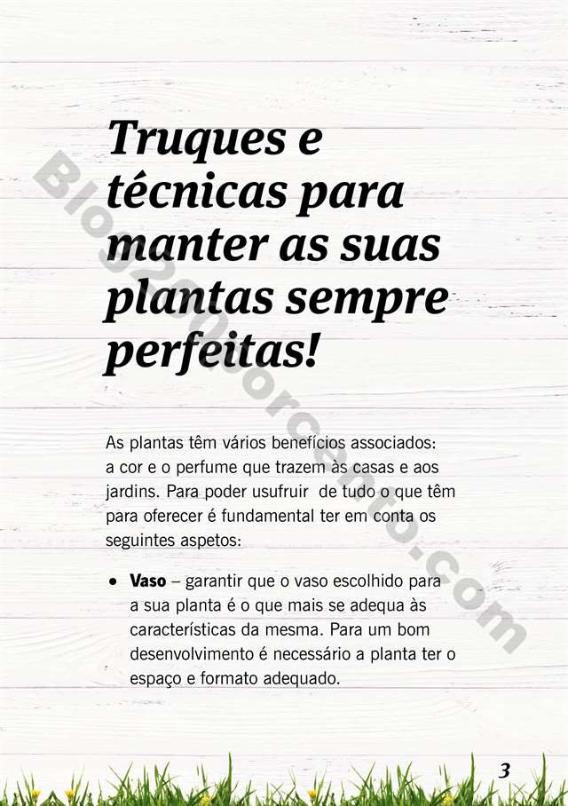 mercado plantas 16 maio_002.jpg