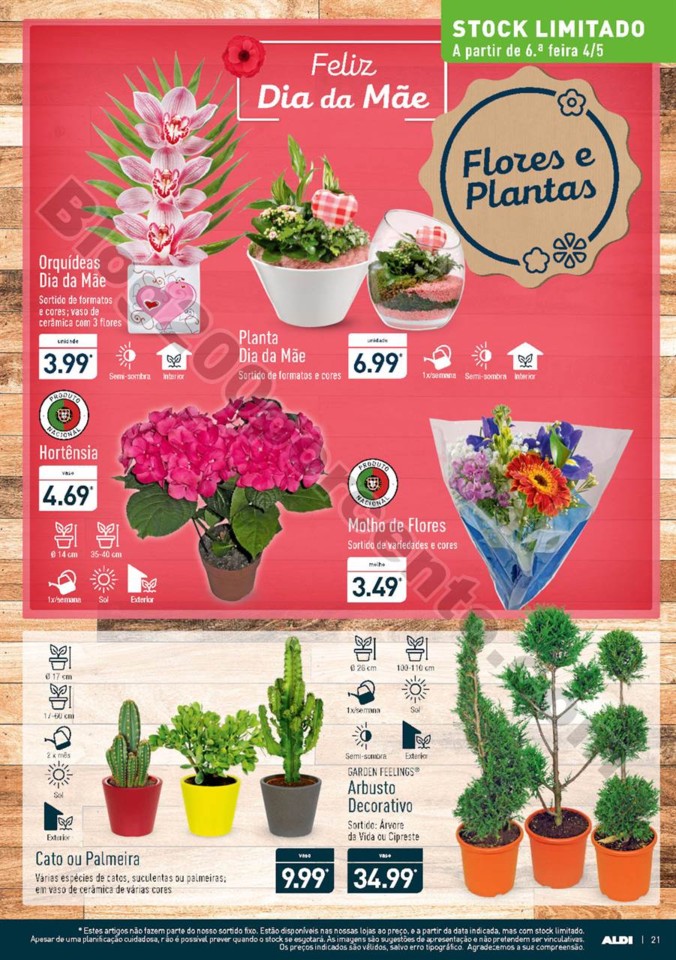Antevisão Folheto ALDI Dia da mãe promoções a 