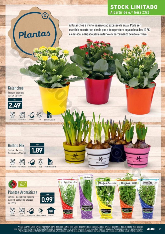 Antevisão Folheto ALDI Promoções a partir de 21