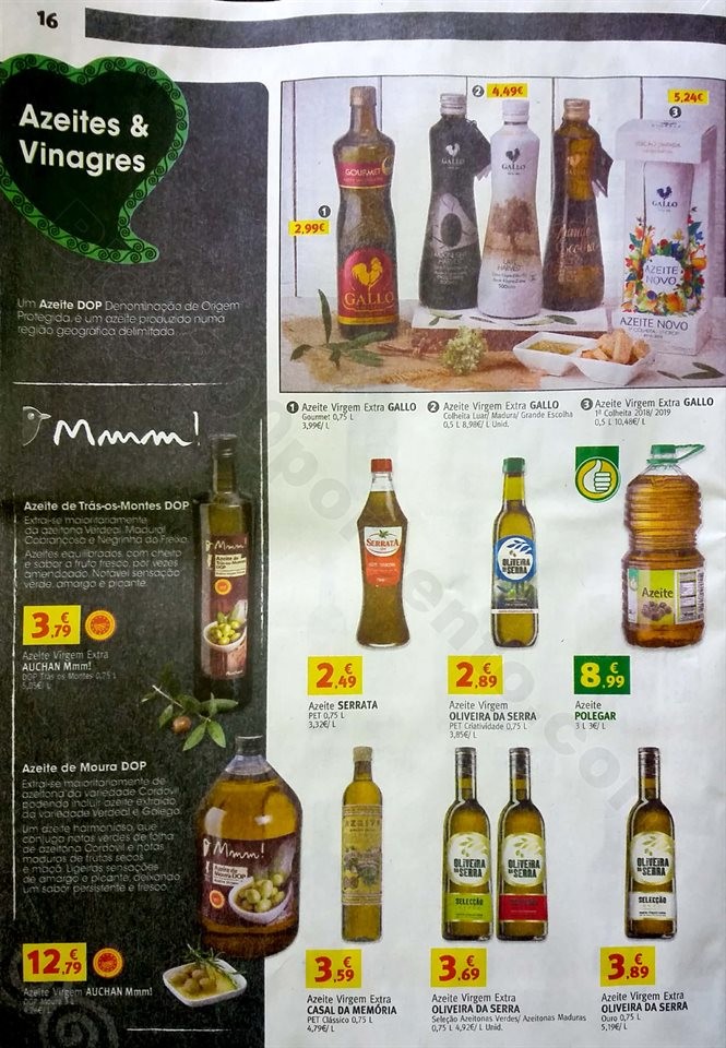 jumbo antevisao carnaval qev_16.jpg