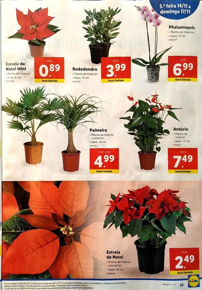 Lidl folheto 11 a 17 novembro_23.jpg