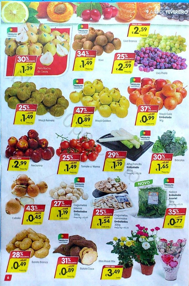 mini fevereiro 9_6.jpg