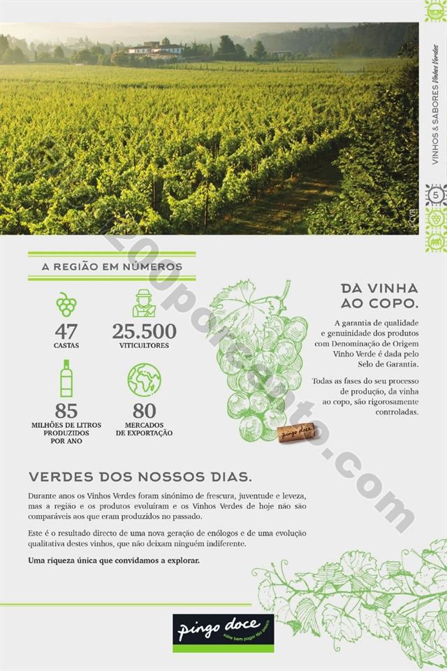 Antevisão Folheto PINGO DOCE Extra Promoções de