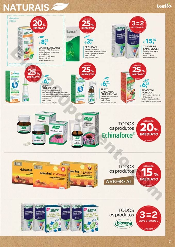 ano novo wells 2 a 27 janeiro_006.jpg