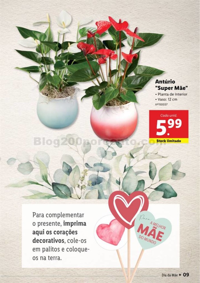 Antevisão Folheto LIDL Especial Dia da Mãe Promo