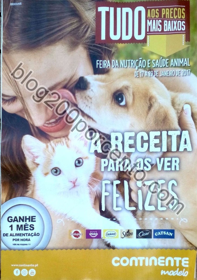 Novo Documento 16_1.jpg