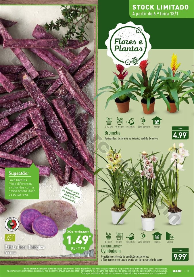 Antevisão Folheto ALDI Promoções a partir de 16