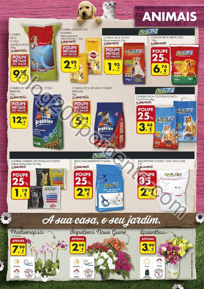 Antevisão Folheto PINGO DOCE Promoções de 9 a 1