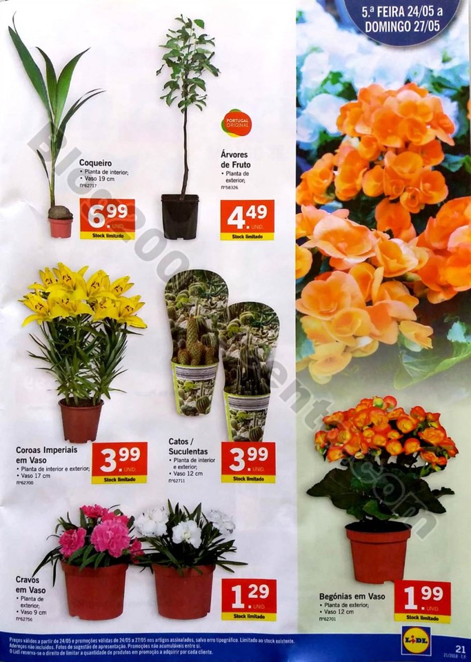 folheto 21 a 27 maio lidl_21.jpg