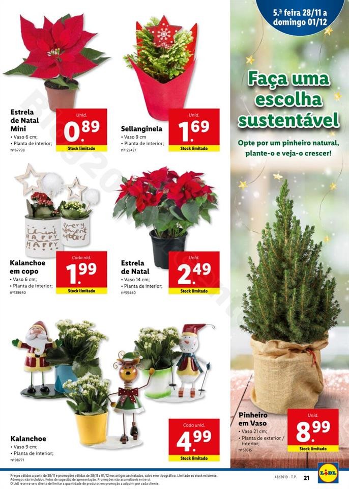 Antevisão Folheto LIDL Promoções a partir de 25