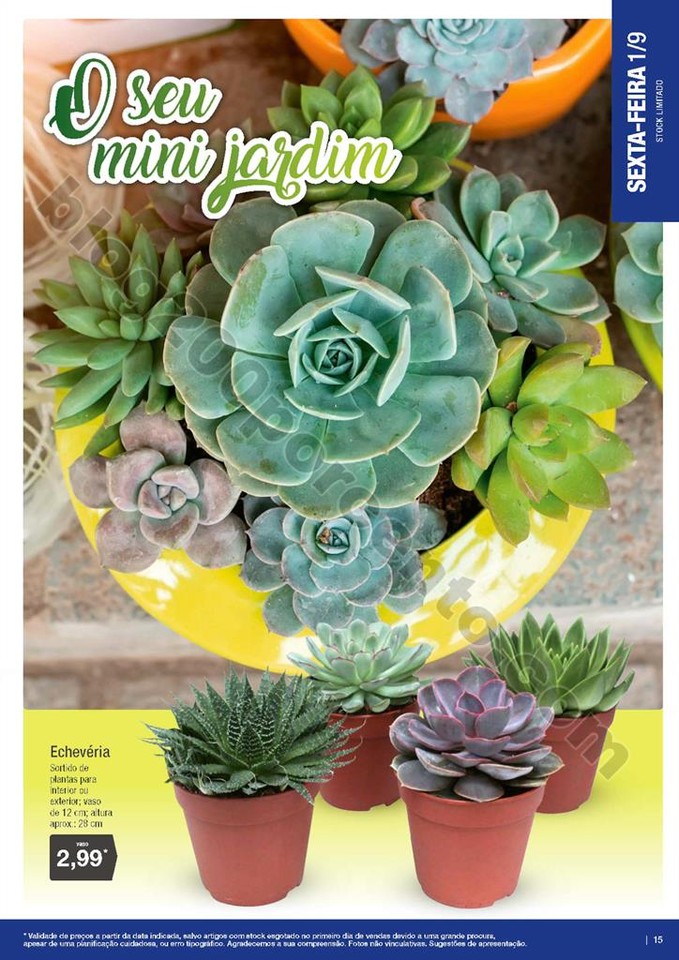 01 antevisão folheto aldi 30 agosto 10015.jpg