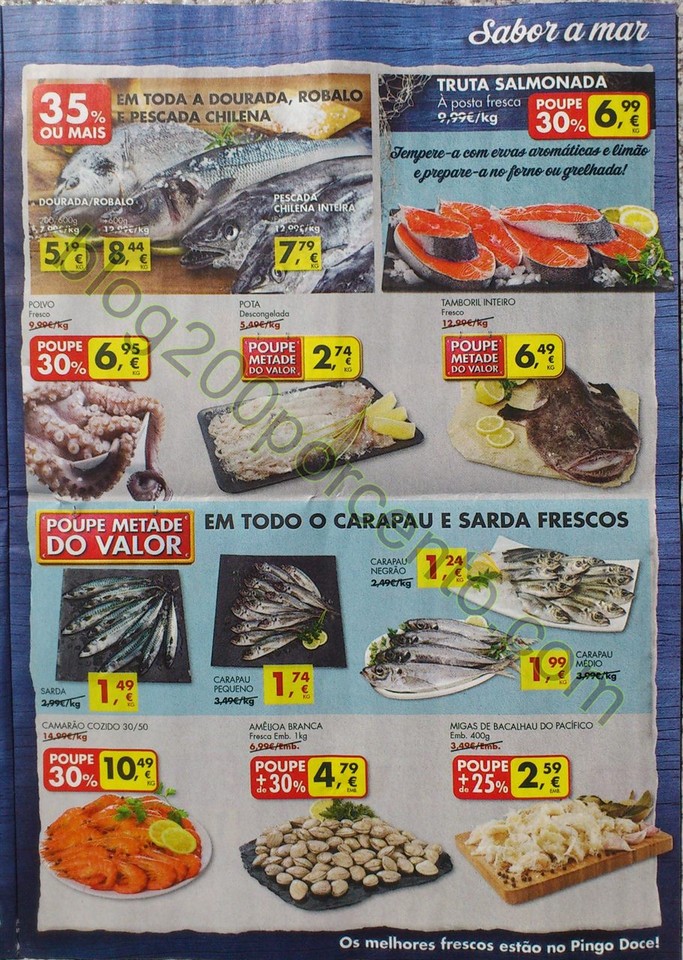 pingo doce 8 14 marco_9.jpg