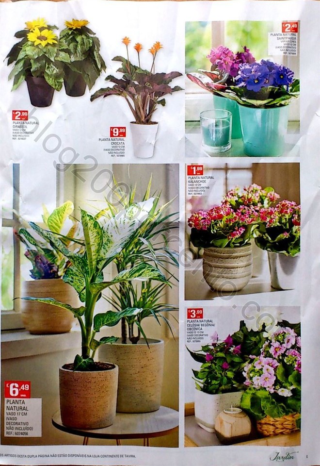 Novo Documento 118_3.jpg