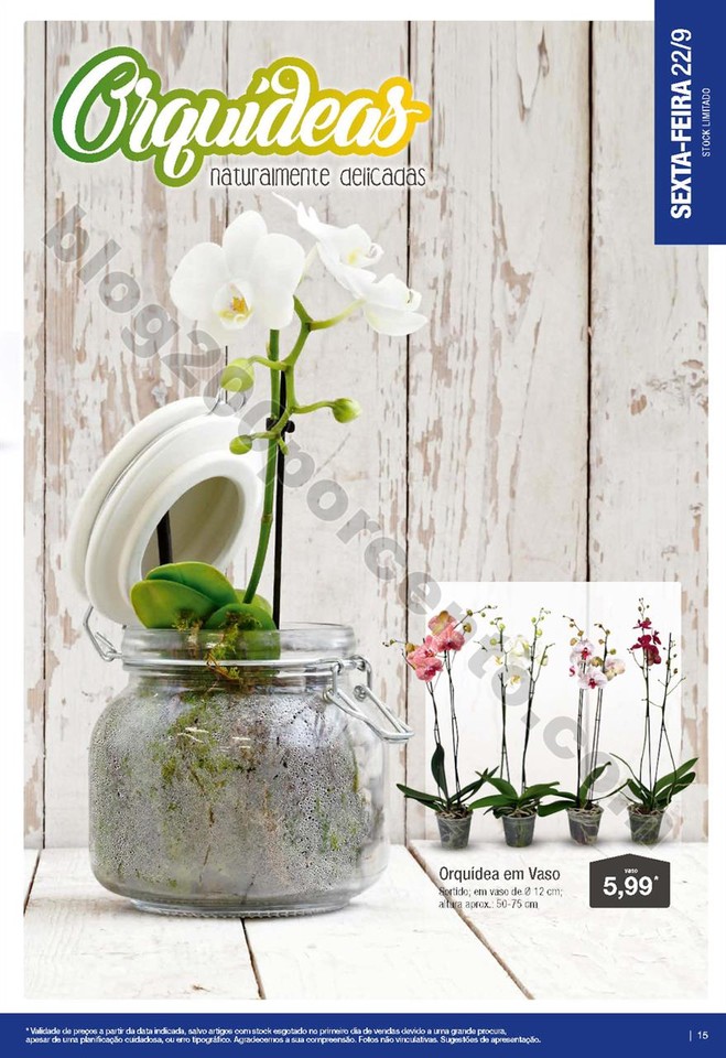 01 Folheto aldi bio 10015.jpg