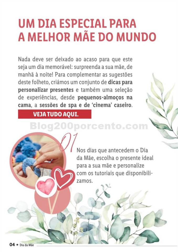 Antevisão Folheto LIDL Especial Dia da Mãe Promo
