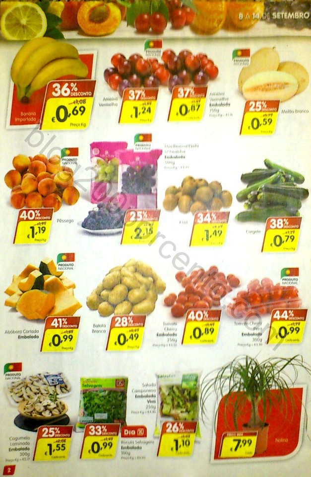 Novo Documento 30_2.jpg