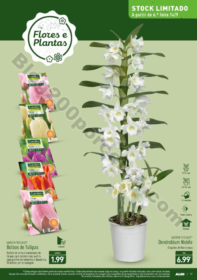 Antevisão Folheto ALDI Promoções a partir de 12