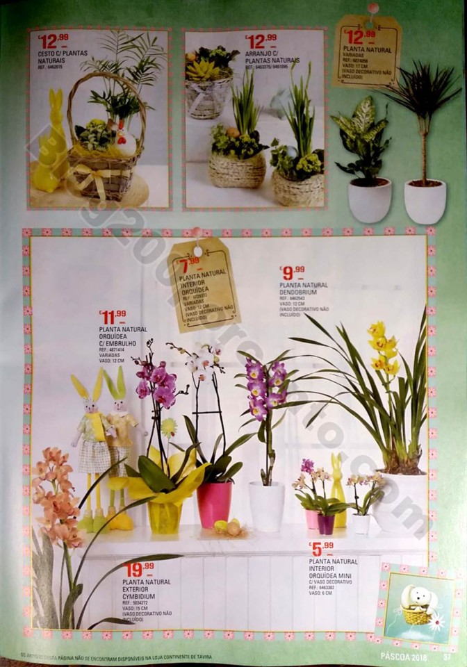 folheto P+íscoa continente_37.jpg