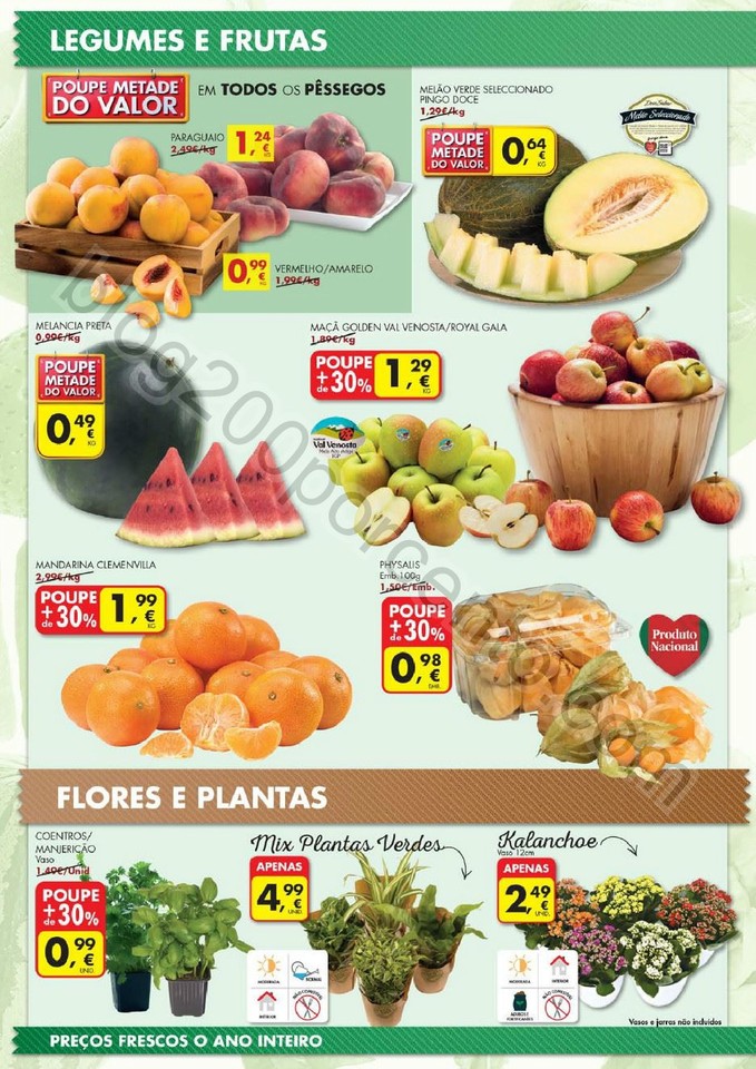 Antevisão Folheto PINGO DOCE Frescos promoções 