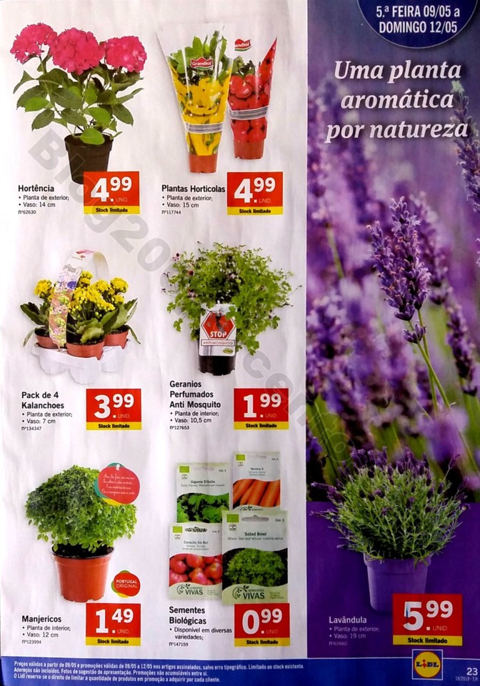 lidl folheto 6 a 12 maio_24.jpg