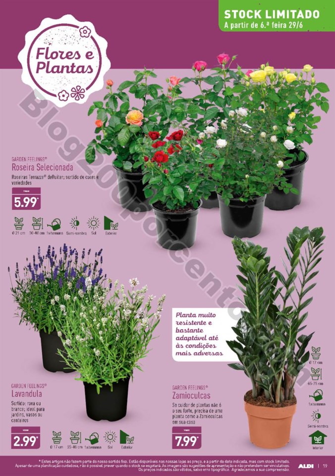 Antevisão Folheto ALDI Promoções a partir de 27