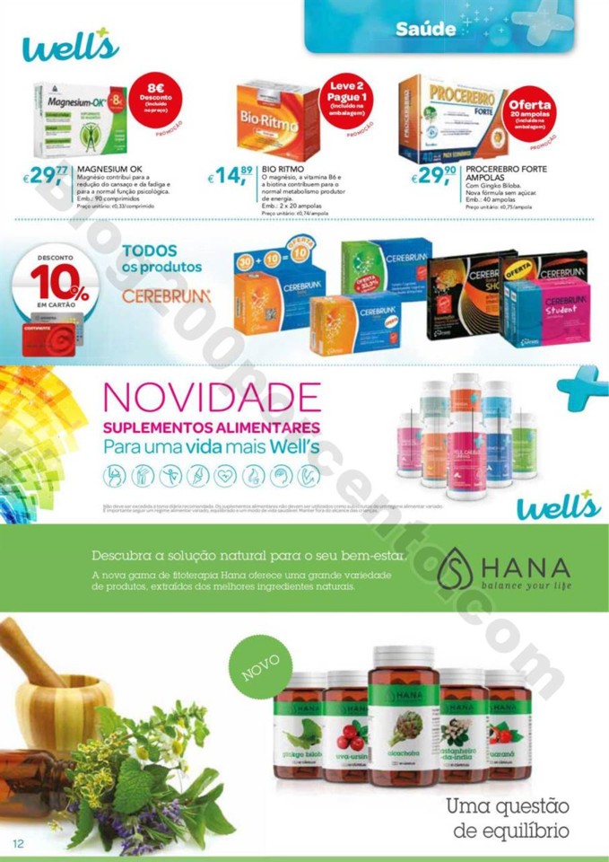 Antevisão Folheto WELLS Inverno de 27 dezembro a 