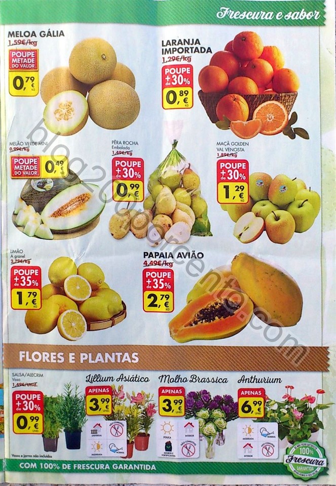 pingo doce antevisao folhetos_27.jpg