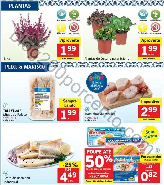 Promoções-Descontos-25581.jpg