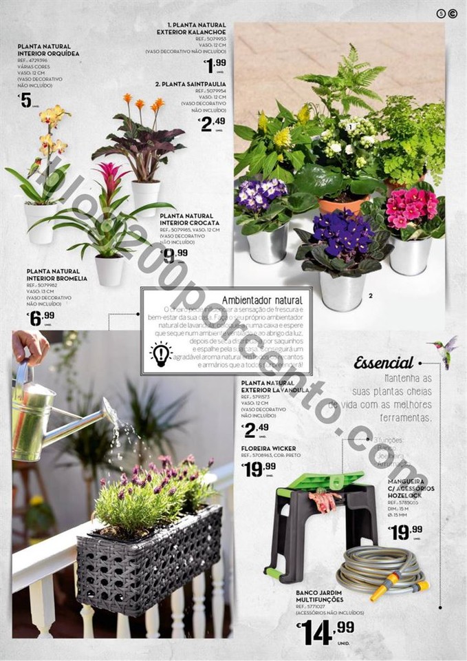 Antevisão Folheto CONTINENTE Jardim promoções d