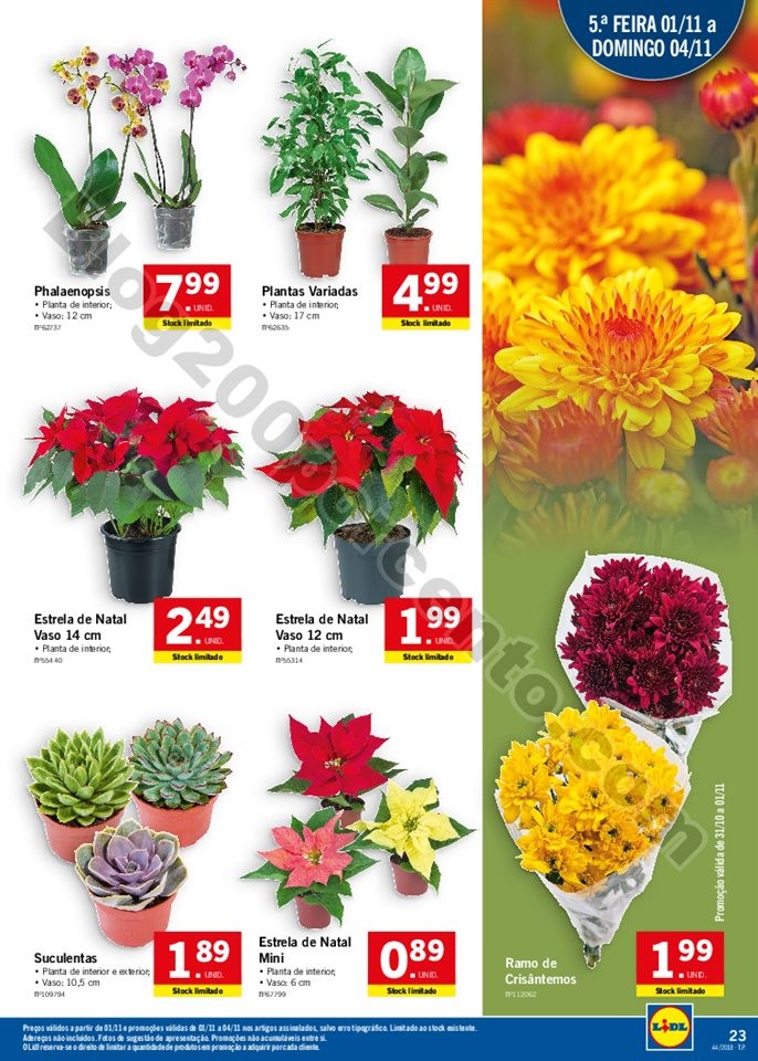 lidl 29 outubro_022.jpg