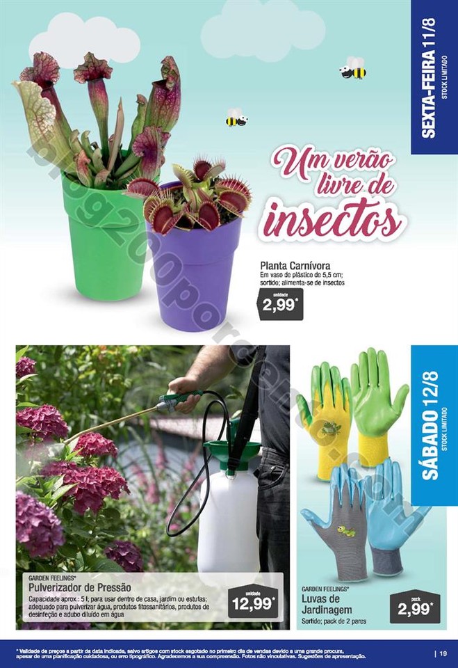 01 aldi ferias 9 agosto p10019.jpg