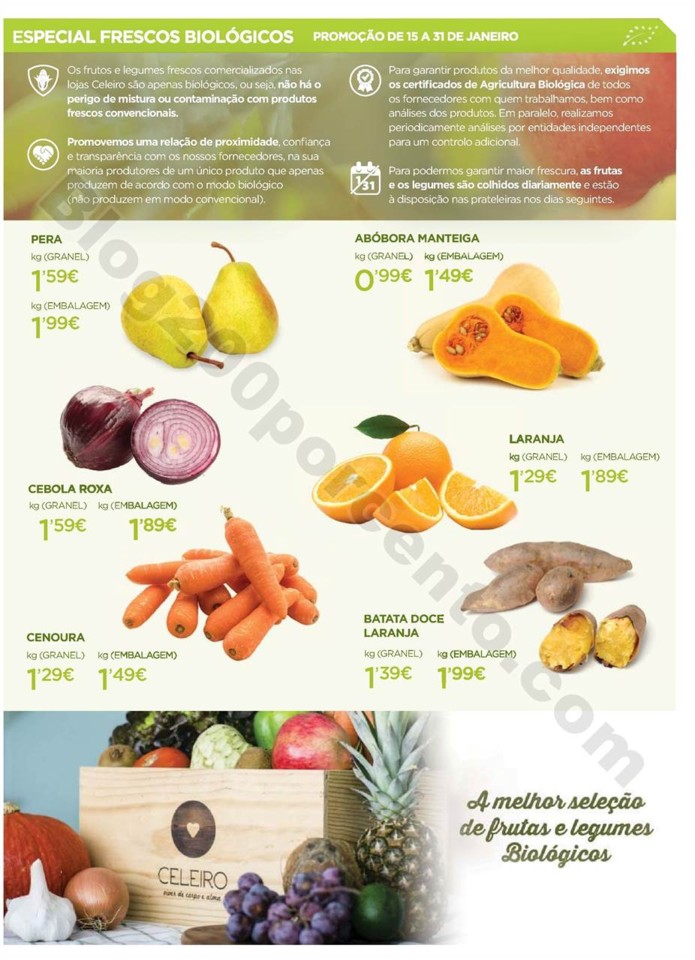 celeiro janeiro (6).jpg